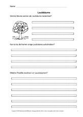 Arbeitsblatt-Laubbäume-1.pdf
